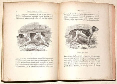 LE GIBIER À PLUME. LES OISEAUX DE CHASSE. Description. Moeurs - Acclimatation - Chasse.. CHERVILLE (Gaspard-Georges-Pescow, marquis de).