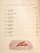 LE GIBIER POIL. LES QUADRUPÈDES DE LA CHASSE. Description. Moeurs - Acclimatation - Chasse. par CHERVILLE (Gaspard-Georges-Pescow, marquis  de). - Image 4