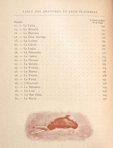 LE GIBIER POIL. LES QUADRUPÈDES DE LA CHASSE. Description. Moeurs - Acclimatation - Chasse.