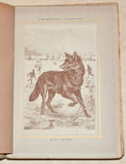LE GIBIER POIL. LES QUADRUPÈDES DE LA CHASSE. Description. Moeurs - Acclimatation - Chasse. par CHERVILLE (Gaspard-Georges-Pescow, marquis  de). - Image 8