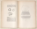 LE FURET. &Eacute;levage, hygi&egrave;ne, emploi et m&eacute;decine.. M&Eacute;GNIN (Pierre).