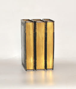LES ESSAIS de Michel, Seigneur de Montaigne. Nouvelle édition exactement purgée des défauts des précédentes, selon le vray original: Et enrichie & augmentée aux marges du nom des Autheurs qui y sont citez, & de la Version de leurs Passages; Avec des observations très importantes & nécessaires pour le soulagement du Lecteur. [3 volumes].