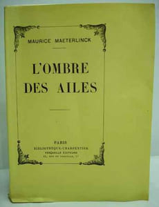 L'OMBRE DES AILES. 