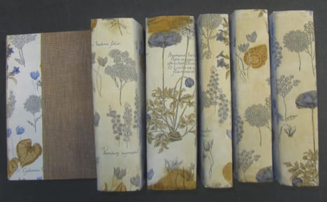 Flore française, ou descriptions succinctes de toutes les plantes qui croissent naturellement en France, disposées selon une nouvelle méthode ...