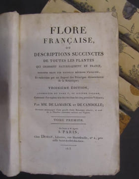 Flore française, ou descriptions succinctes de toutes les plantes qui croissent naturellement en France, disposées selon une nouvelle méthode ...