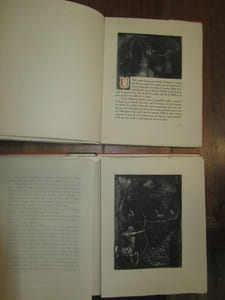 L'Enfer. Eaux-fortes originales de Edouard GOERG.