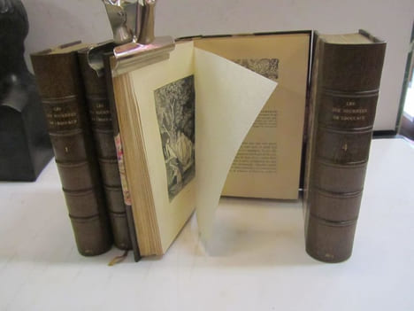 Les dix journées de Jean Boccace. Traduction de Le Maçon, réimprimée par les soins de D. Jouaust. Avec Notice, Notes et Glossaire par M. Paul LACROIX. ...