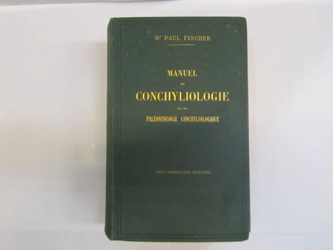 Manuel de CONCHYLIOLOGIE et de Paléontologie Conchyliologique, ou Histoire Naturelle des mollusques vivants et fossiles, suivi d'un Appendice sur les ...