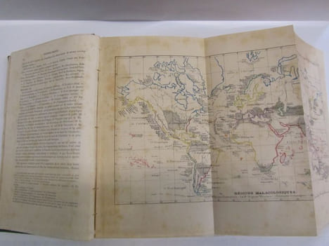 Manuel de CONCHYLIOLOGIE et de Paléontologie Conchyliologique, ou Histoire Naturelle des mollusques vivants et fossiles, suivi d'un Appendice sur les ...