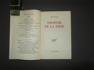 Solitude de la pitié.