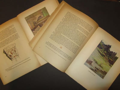 Voyage au pays des Sculpteurs romans. Croquis de route à travers la France par Alexis Forel. Illustrations de Emmeline Forel.