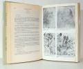 Léonard de Vinci ( Biographie). Serge Bramly