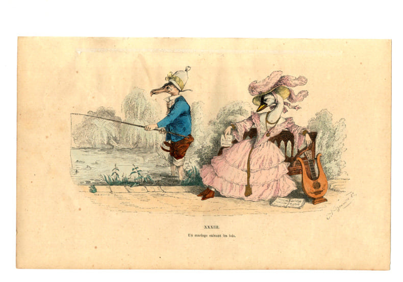  Gravure caricature sign&eacute;e Grandville. " Les m&eacute;tamorphoses du jours, 1869 ". Grandville.