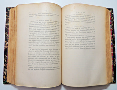 Jules Michelet. L'oiseau. La mer ( Études de la nature). Edition définitive.. Jules Michelet