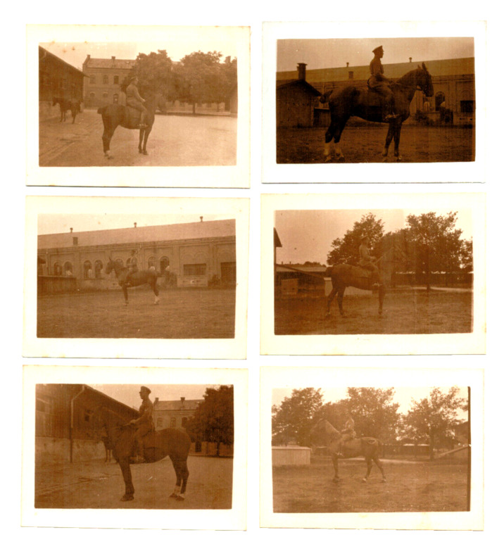 Lot photos anciennes. Lot de 6 photos militaires à cheval. 1900/1920. 