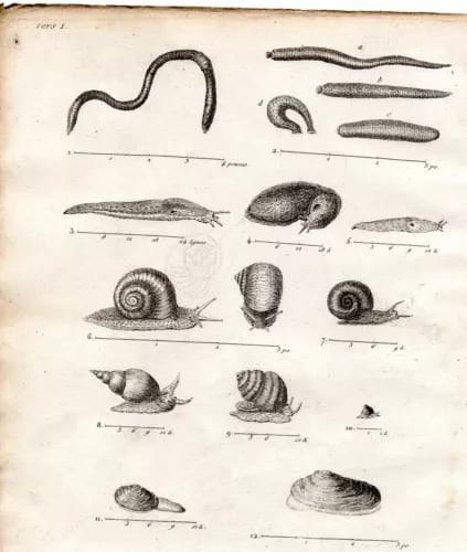 Gravure XVIIIe. 12 vers des environs de Paris. 