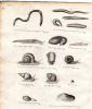 Gravure XVIIIe. 12 vers des environs de Paris. 