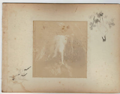 Japon.Japan .2 Photos Albuminées. Statuts et chute d'eau. 1880