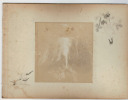 Japon.Japan .2 Photos Albuminées. Statuts et chute d'eau. 1880. 