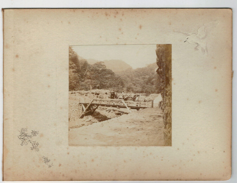 Japon.Japan .2 Photos Albuminées. Pont et foret 1880. 