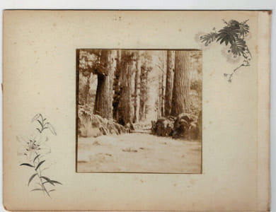 Japon.Japan .2 Photos Albuminées. Pont et foret 1880