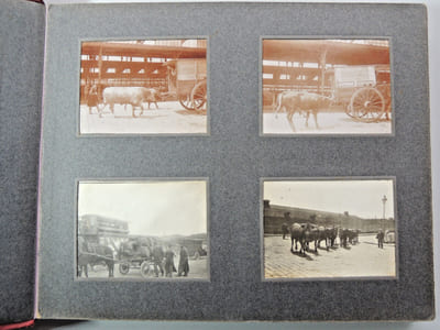 Album 104 photos Paris, Exposition Universelle, foire aux bestiaux, défilé