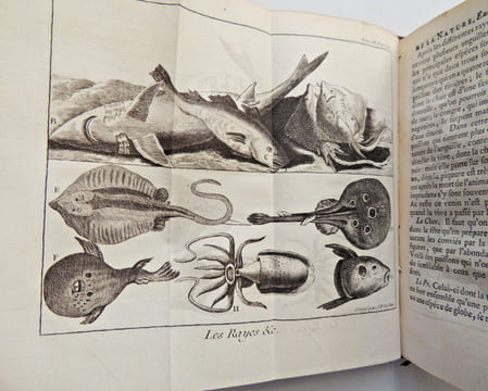 Spectacle de la nature. Marine, Bateaux, Astronomie. Abbé Pluche.