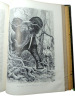 Le Tour du Monde. Journal des voyages 1887. Orient, Plata, Dieulafoy, Tibet... Edouard Charton