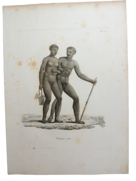 Histoire naturelle. Gravure sur cuivre de Huet XVIIIe. L'homme noir.. 
