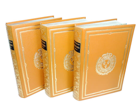 Mémoires de Mr D'Artagnan, Capitaine Lieutenant de la première Compagnie des Mousquetaires du Roi, Contenant quantité de choses particulières et ...