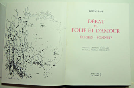 Débat de folie et d'amour. Élégies - Sonnets. Louise Labé