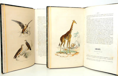 2 vols Oiseaux & Mammifères ( 48 planches couleurs )