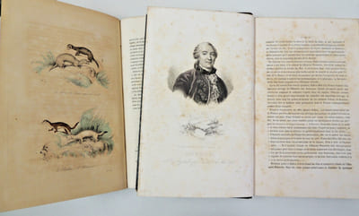 2 vols Oiseaux & Mammifères ( 48 planches couleurs )