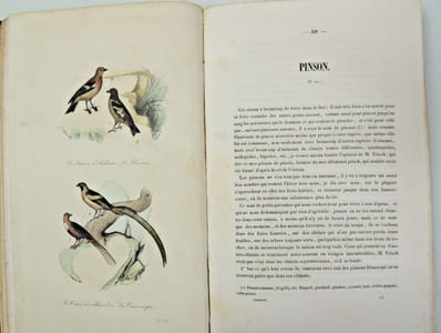 2 vols Oiseaux & Mammifères ( 48 planches couleurs )