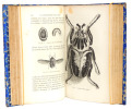 Les m&eacute;tamorphoses des insectes. 350 vignettes. 1870. Maurice Girard.