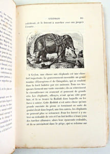 Les grandes chasses illustré de 38 gravures sur bois. 1883