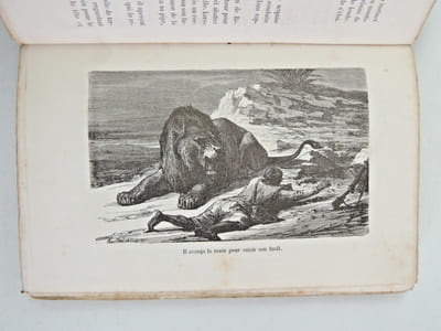 Les grandes chasses illustré de 38 gravures sur bois. 1883