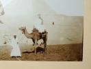 Bel photo &Eacute;gypte Le Sphinx de Gizet 1860

Tirage albumin&eacute;, grand format photo 29x22cm, sur carton 53x42cm ( leg gondol&eacute; au pourtours)

. 