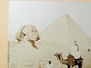Bel photo &Eacute;gypte Le Sphinx de Gizet 1860

Tirage albumin&eacute;, grand format photo 29x22cm, sur carton 53x42cm ( leg gondol&eacute; au pourtours)

. 