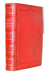 Les naufrages aériens. 1880. EO