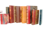 Lot livres anciens litt&eacute;rature reli&eacute;s cuir XIXe. Lamartine, Dumas, Gyp, Dekobra. 