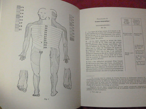 LA PRATIQUE DE LA MÉDECINE MANUELLE. J.E.H Niboyer