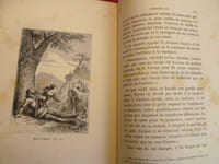 HISTOIRE DE PIERRE TERRAIL , SEIGNEUR de BAYART