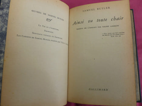 AINSI VA TOUTE CHAIR. Samuel Butler