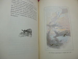 TARTARIN SUR LES ALPES
Nouveaux exploits du héros Tarasconnais. Alphonse Daudet