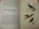 2 vols Oiseaux & Mammifères ( 48 planches couleurs ). BUFFON