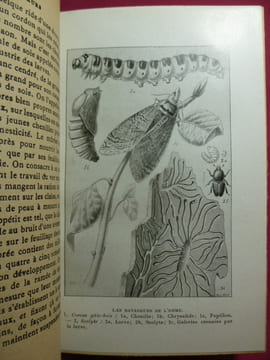LES RAVAGEURS / RÉCITS SUR LES INSECTES NUISIBLES A L'AGRICULTURE. J.H Fabre