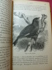L'AMATEUR D’OISEAUX DE VOLIÈRE. Henri Moreau