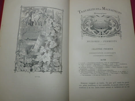 TRAVAILLEURS ET MALFAITEURS MICROSCOPIQUES
Microbes-Ferments. Aristide REY, dessins de Matthis