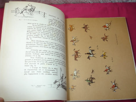 CHEVAL EQUITATION / LA CONQUETE DU CHEVAL Illustré couleur. Y.Benoit-Gironière